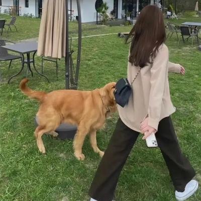 演员 屈楚萧 / 王子文 / 王皓 / 何蓝逗 / 黄毅 / 陈庭煜 / 吴彦姝 / 牛犇 / 余嘉诚